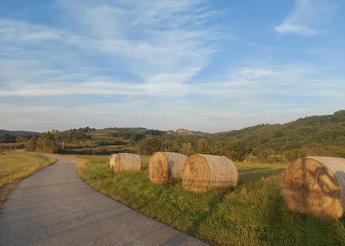 Bitini Farm Apartment