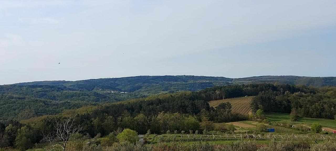 Bitini Farm *