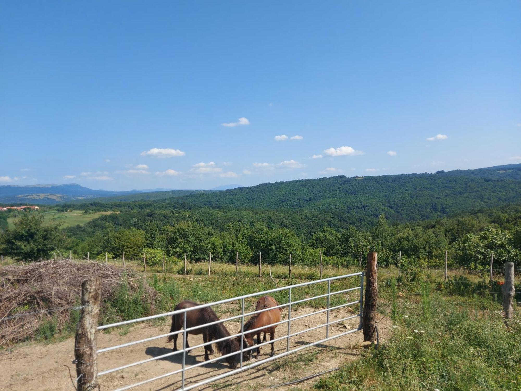 Bitini Farm Gračišče